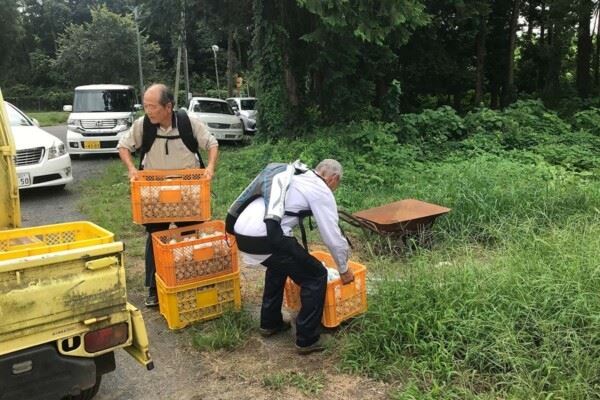 Пожилые жители Японии начали носить экзоскелеты, чтобы продолжать работать в старости